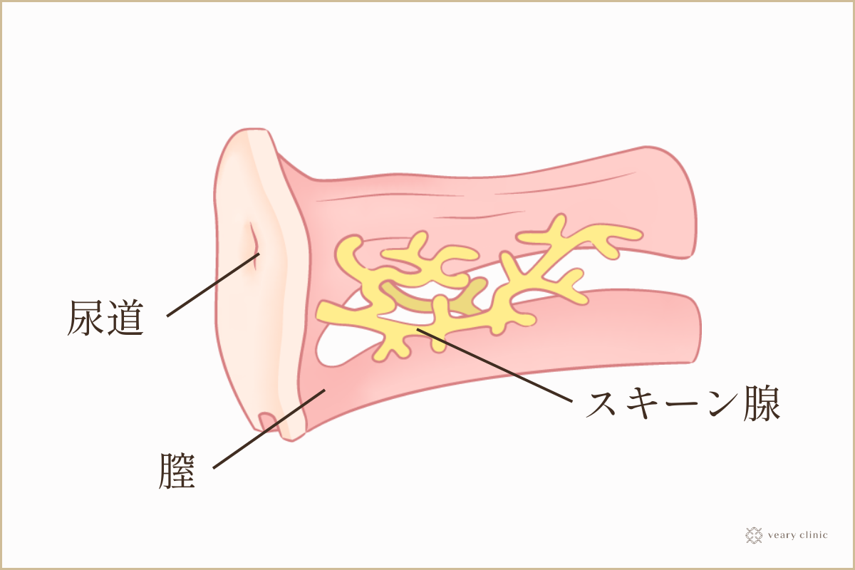 エステティシャンの仕事がしたい！資格は必要？バイトで働ける？ すぐ使える志望動機例も│#タウンワークマガジン