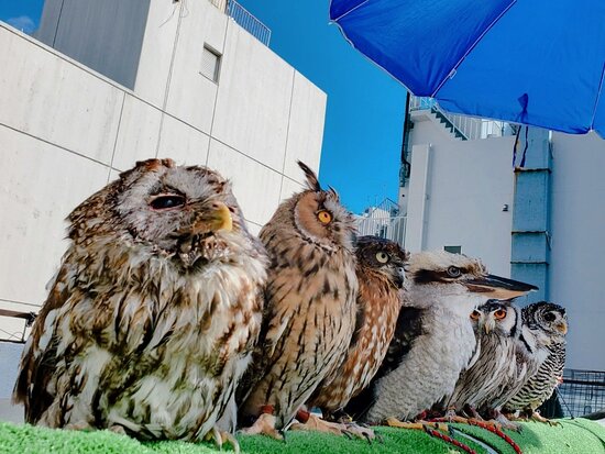 池袋東口本店 | 麻雀するならずーっとZOO