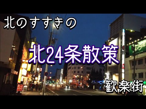 全国三大歓楽街の一角】札幌の「すすきの」都会ポイント - 都会を感じる北海道