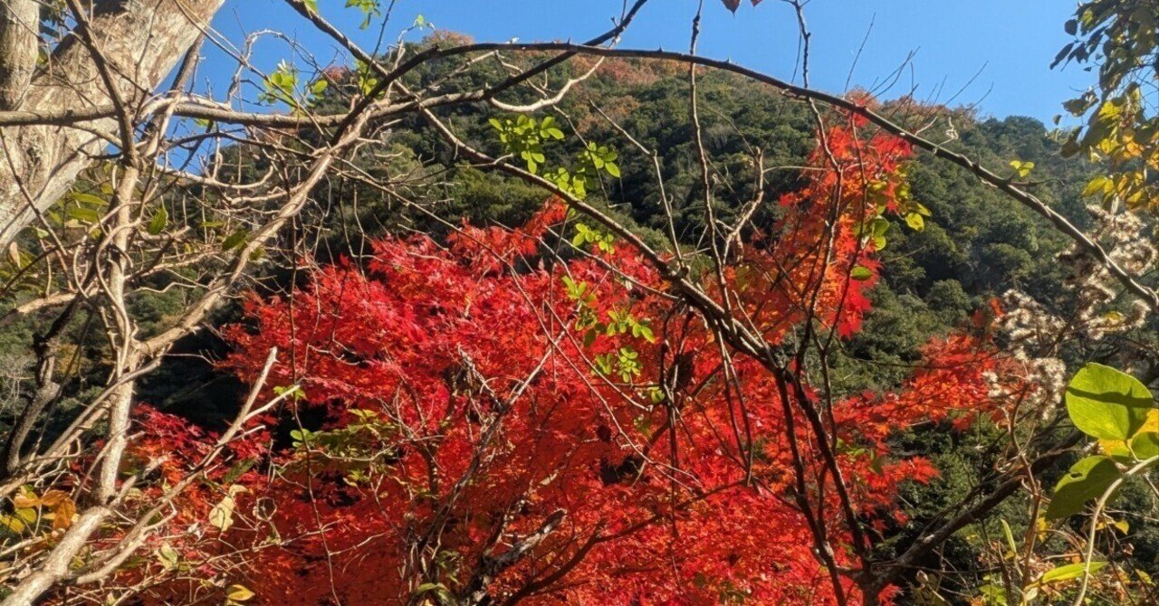 スーパー銭湯 - 日栄ムセン