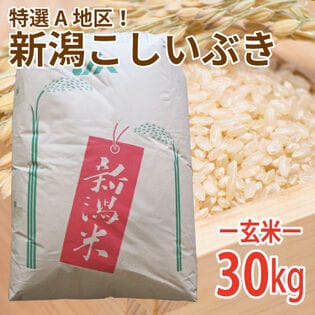 送料込み】【新潟県】新潟県産こしいぶき 5kg - 米・粉類