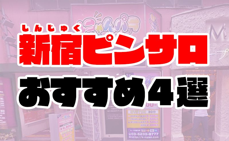 新宿・歌舞伎町×ファッションヘルス・早朝営業の巨乳（Eカップ～Fカップ）のおすすめ風俗嬢｜【みんなの激安風俗(みんげき)】