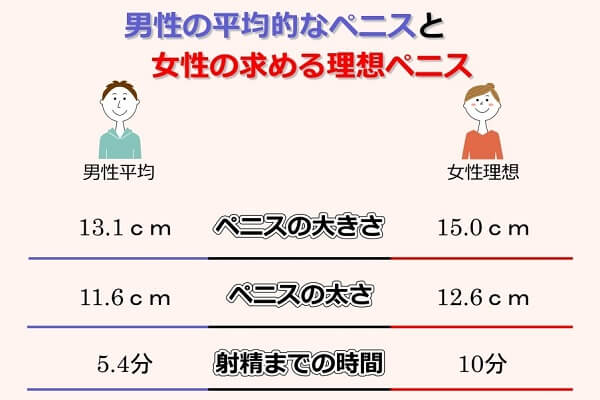 トイレットペーパーを使ったペニスの大きさと太さの測り方を紹介！｜風じゃマガジン