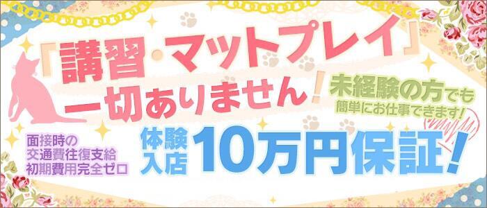 風俗での性病感染率について統計をもとに調査した結果 - 性病検査NAVI