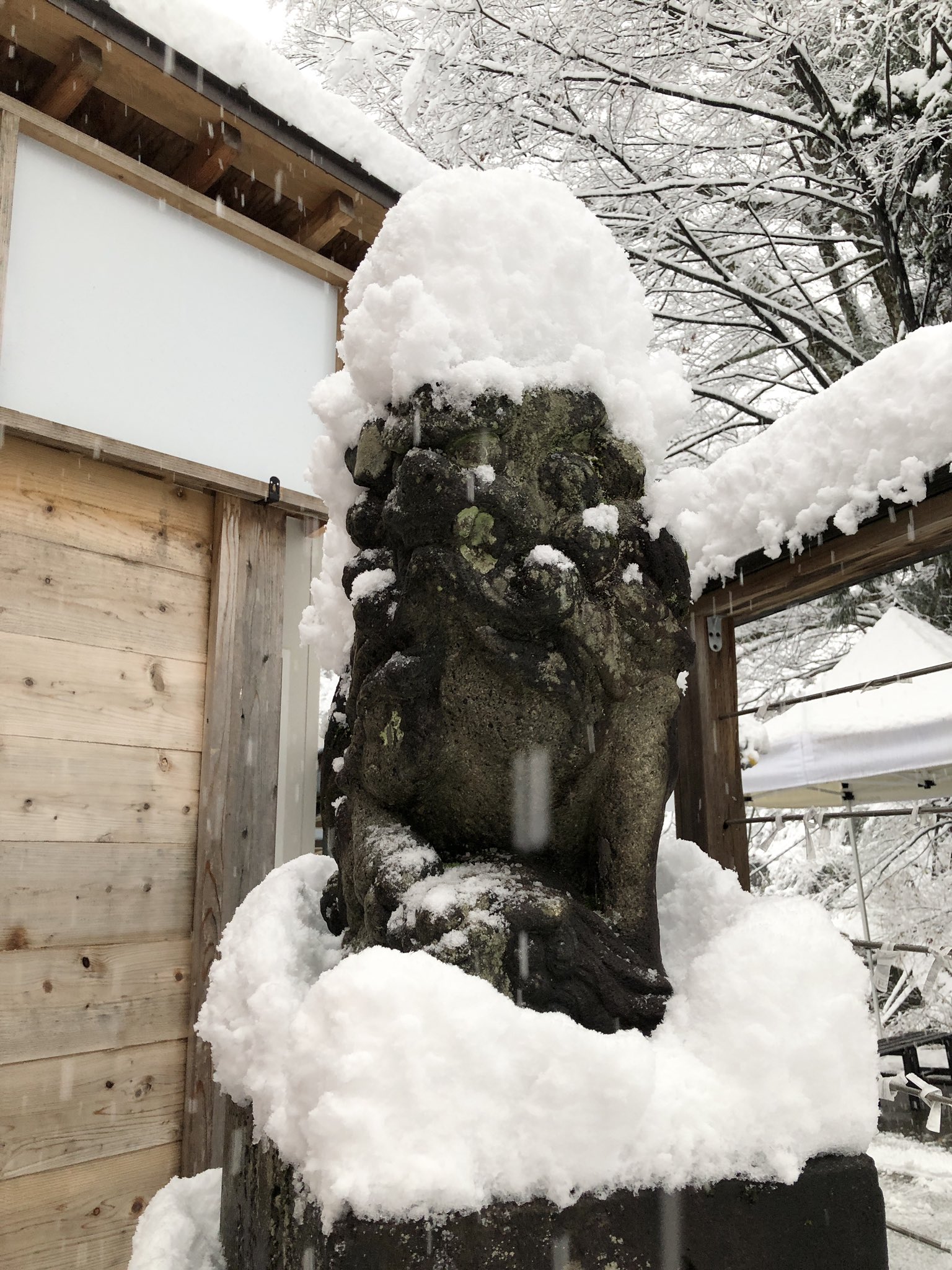 癒しのアロマサロン ふわり 長岡店 -