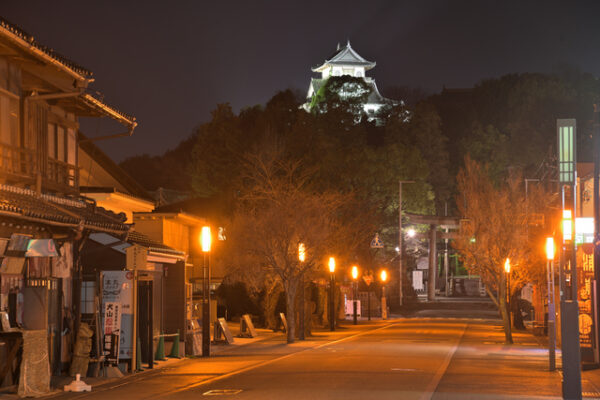 夜まで遊べる♪遊園地＆テーマパークのナイトイベント【関東】 ｜じゃらんニュース