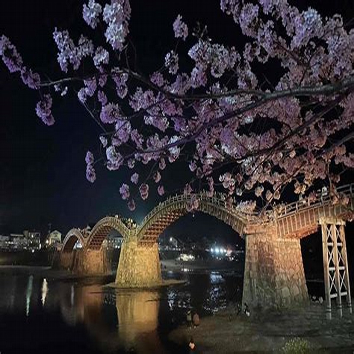 ふるさと日記 たらの芽（目）: 5月