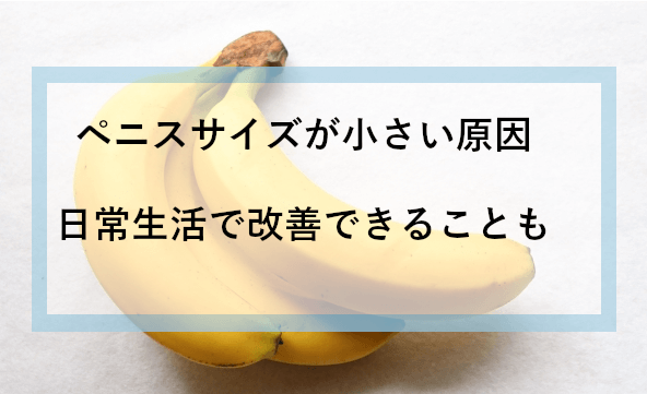 日本人のペニス、平均的サイズは13cm。女性からすると長さは関係ない｜あんしん通販コラム