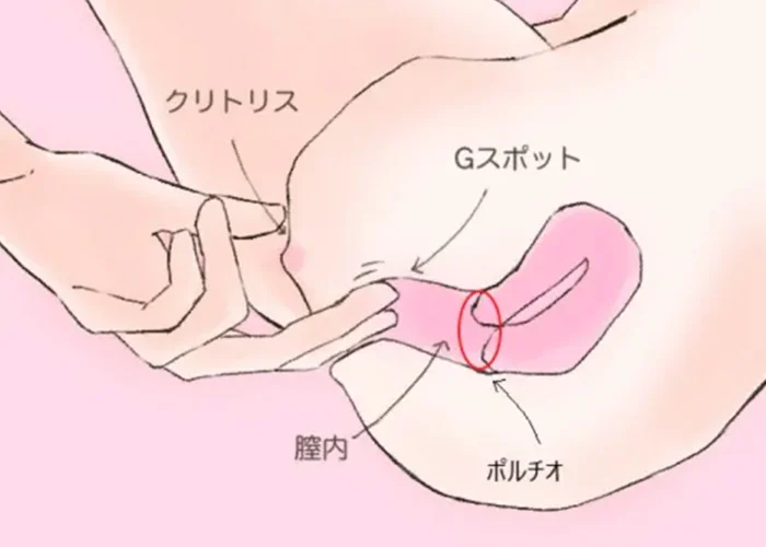 女性が「感じる」メカニズム Gスポットは気持ち良い「から」現れる快感スポット｜感じるところ｜森田敦子 -