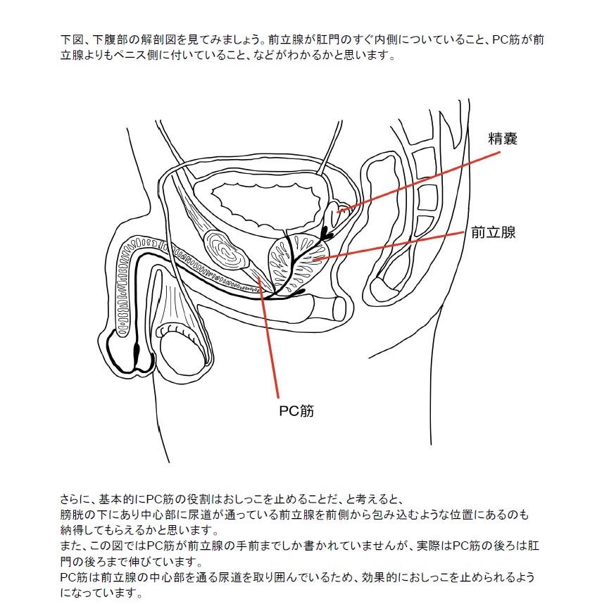 催眠オナニーのやり方とかかりやすいコツを解説！初心者におすすめの音声も｜駅ちか！風俗雑記帳