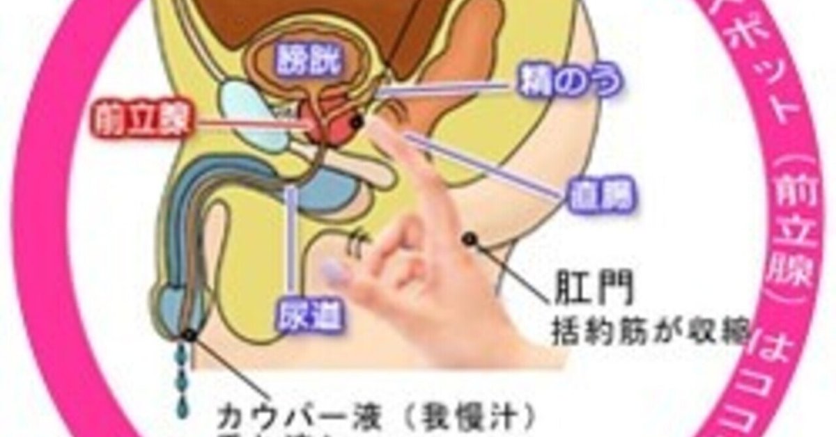 真っ白な夢の世界でドライオーガズムに導くエロ催眠音声「真っ白なナニモナイ場所で」｜にゅーあきばどっとこむ