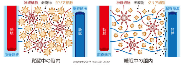 脂肪と老廃物がドバドバ出ていく！ お腹からやせる「内臓洗浄体操」 | セルフケア教室nobu先生