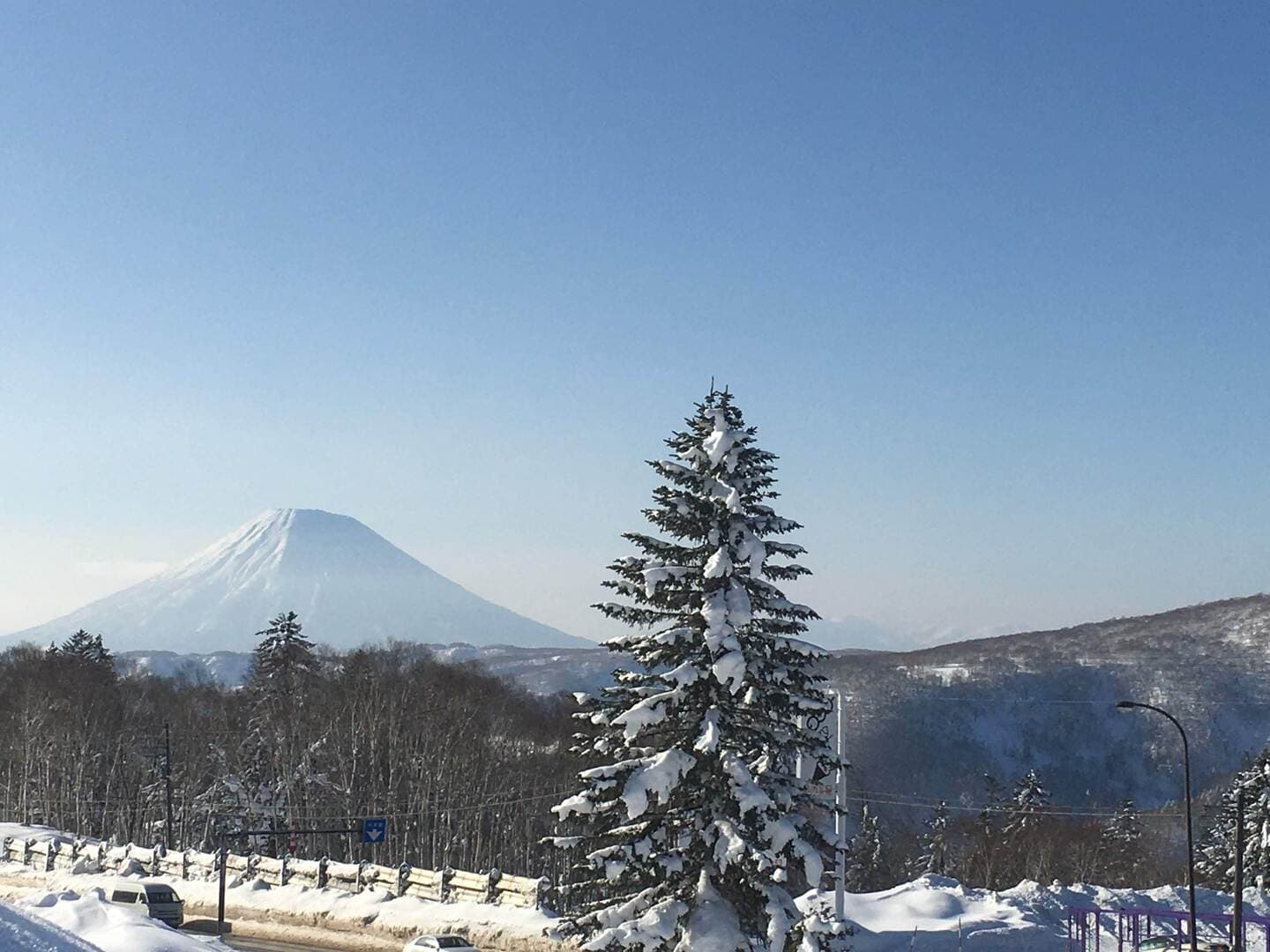 社会人サークルナビスタ東京・千葉・埼玉・札幌で活動