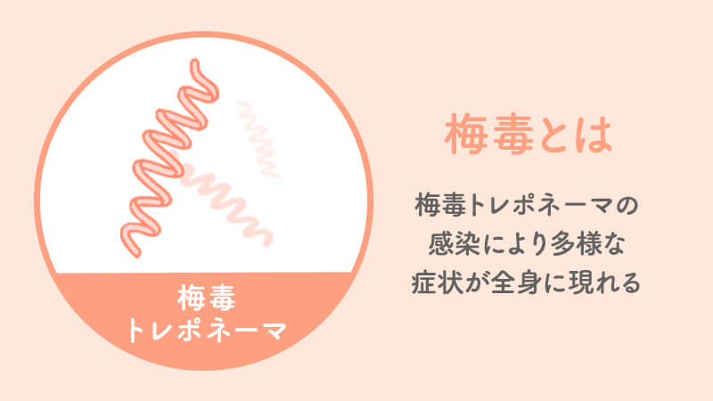 日本で梅毒が急増中!?なにもわかってないバキ童に恐ろしさを伝えました【性教育】