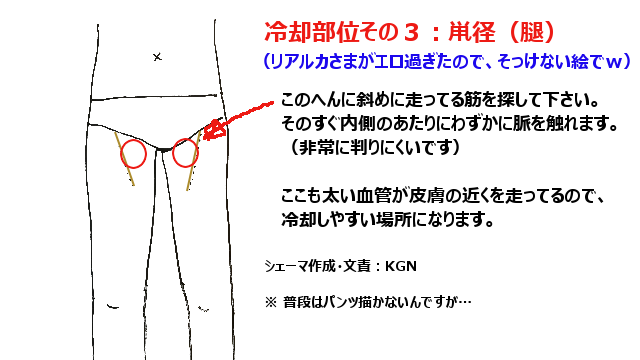 エロ漫画】彼女が朝恥ずかしがり屋でエッチの最中にすぐにのぼせてしまうため、全身に冷えピタを貼って激しくいちゃラブエッチしたったｗ