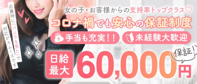 大崎・古川デリヘル 激安王/宮城県/大崎・古川/デリヘル | ビッグデザイア東北