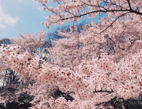 アネックスSEKINE(埼玉県春日部市大衾)の物件情報｜いい部屋ネットの大東建託リーシング