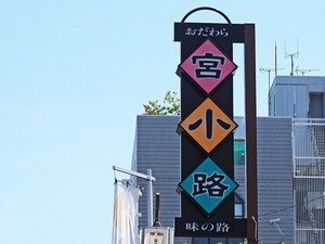 セクシーキャット宮小路店（セクシーキャットミヤコウジテン） - 小田原/ヘルス｜シティヘブンネット