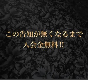 動画】ハプニングバー摘発「人生終わった」 客が語る騒然の店内模様｜NEWSポストセブン