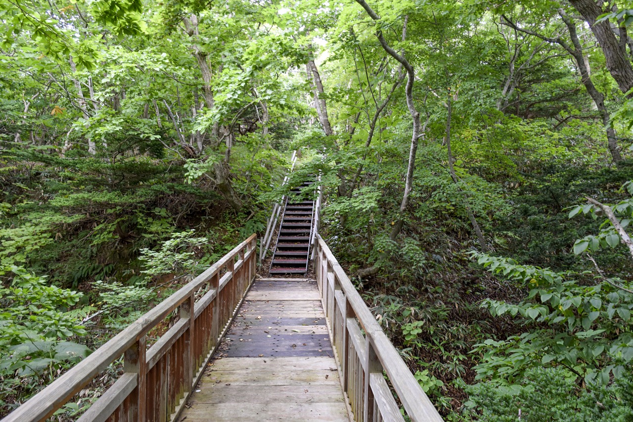 出勤一覧 | 鶯うぐ