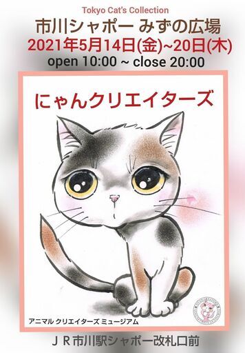 新しい飼い主「待ってるニャン！」保護ねこ譲渡会開催｜ベイちばinfo：市川行徳浦安葛西の情報サイト