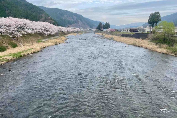 FISHPASS / 丹羽おとり店 年券