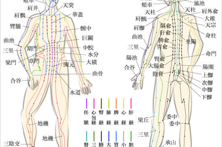 不調を改善しながら心まで癒される！本八幡でおすすめのヘッドスパ5選！ | 癒しタイムズ🌿🗞が投稿したフォトブック |