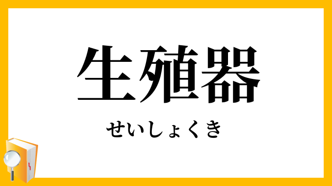 前立腺がん…50歳すぎたら年1回の検査で早期発見・治療 カラダづくり -