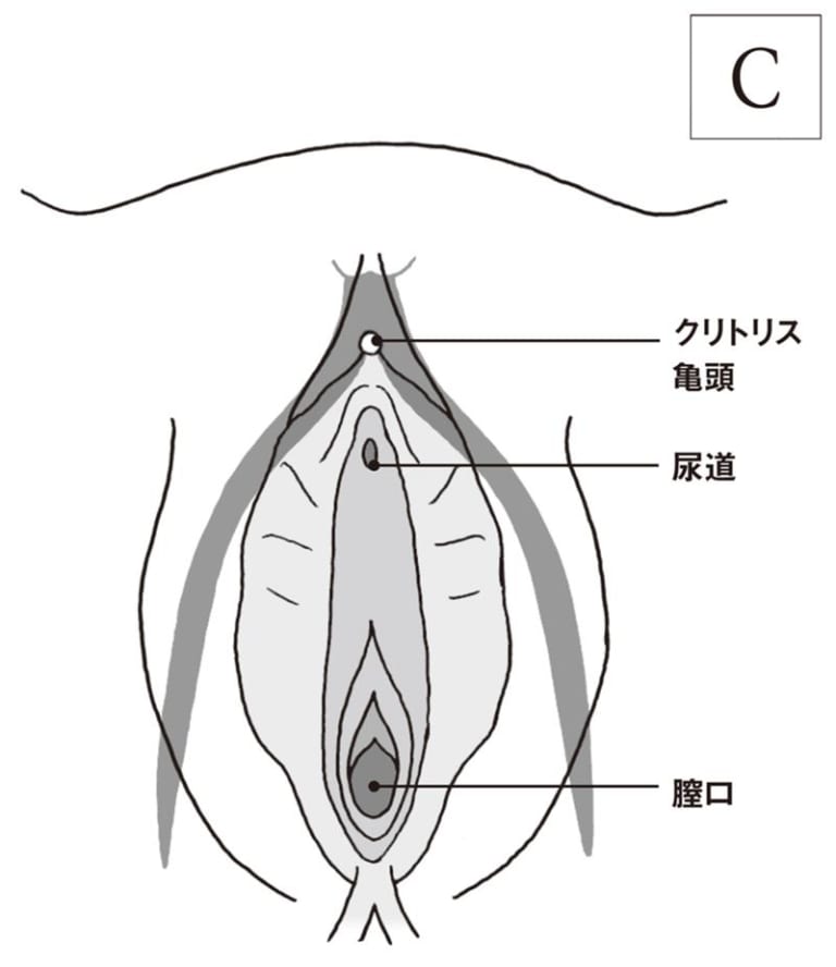 女性が気持ちいいと感じる上手な手マンのやり方やコツを徹底解説！｜駅ちか！風俗雑記帳