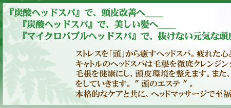心斎橋駅でヘッドスパ・ヘッドマッサージが人気のサロン｜ホットペッパービューティー