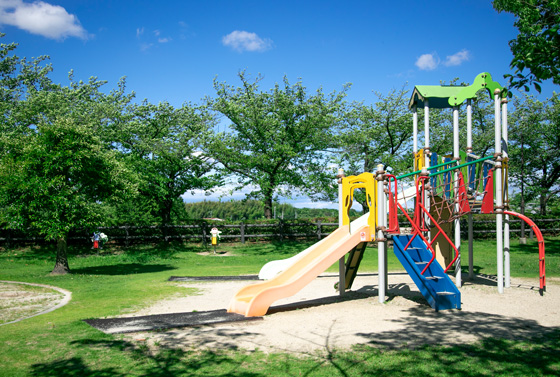 知北平和公園組合