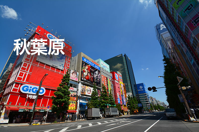 オタ街ック淫国オフパコ性活秋葉原|アダルトグッズや大人のおもちゃ、玩具の通販ショップのNLS