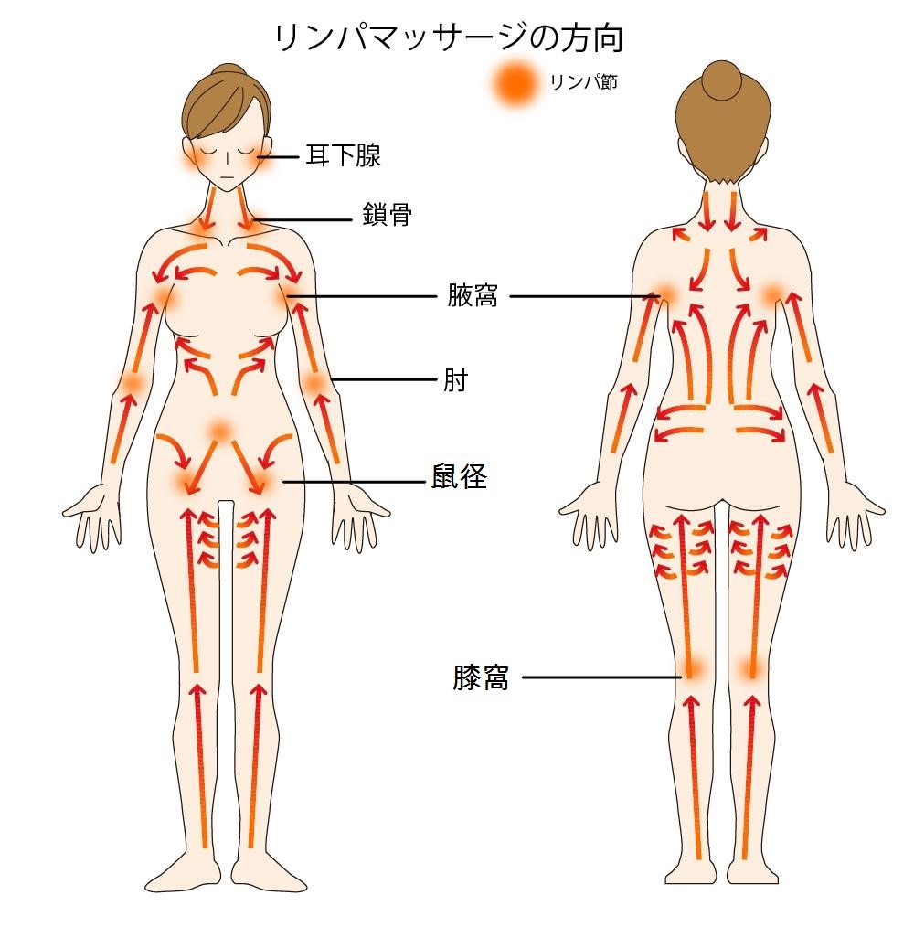 全身アロマオイルリンパマッサージ】肩こり・むくみ・冷え等の体調に合せてオイルのセレクトが可能♪ | アロマオイルリンパマッサージ  Bodysh三宮店(アロマオイルリンパマッサージボディッシュサンノミヤテン)のこだわり特集