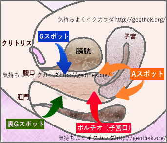 楽天Kobo電子書籍ストア: 避妊が嫌いな彼女と泣くほど気持ちいいセックスを - 自己投影して、膣内に射精している感覚を味わえる