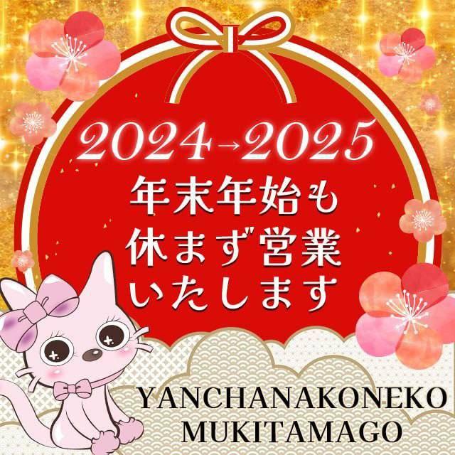 秘花 日本橋店（ヒメカニッポンバシテン）［日本橋 ホテヘル］｜風俗求人【バニラ】で高収入バイト