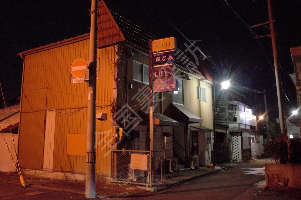 最新版】水沢駅周辺でさがす風俗店｜駅ちか！人気ランキング