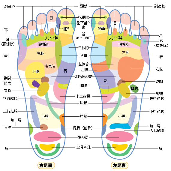 足つぼのプロが教える「足育」ベビーマッサージ｜wee+（ウィ―プラス）