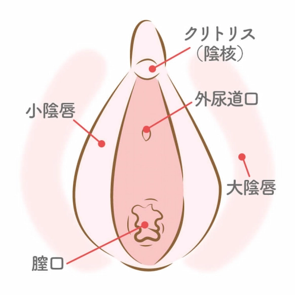 【ワケあり】 かさま 熟成栗