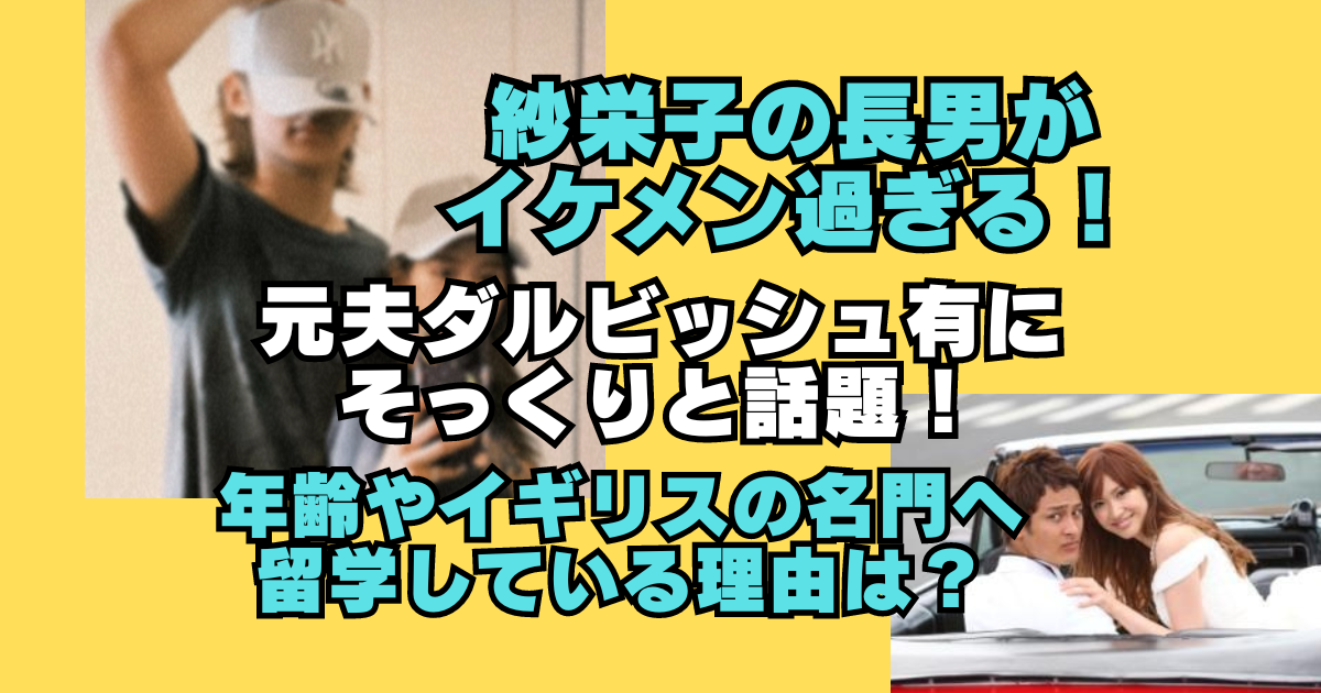 天翔愛が卒業した音大はどこ？妹の天翔天音と同じ大学か？学歴を調査 |