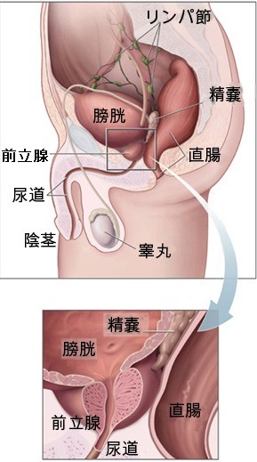 女性がオナニーでイク方法！平均頻度や注意点を解説【快感スタイル】