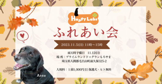 くまのマークの結婚相談所ハピラブ｜ゼロから1年以内に結婚も可能です！