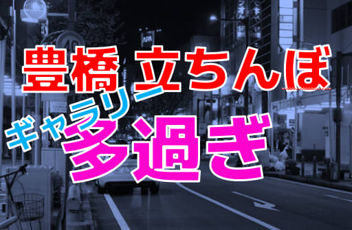 豊橋の裏風俗 たちんぼやちょんの間とヌキ屋