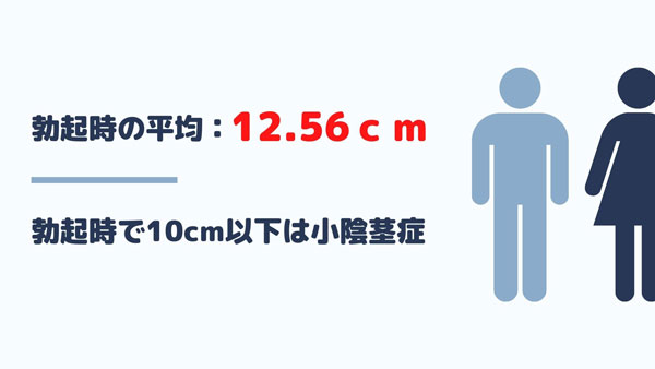 短小包茎とは！短小は何センチから？日本人の平均サイズや治療法 - アトムクリニック