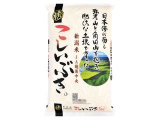 新米 こしいぶき 5kg お米 令和6年産