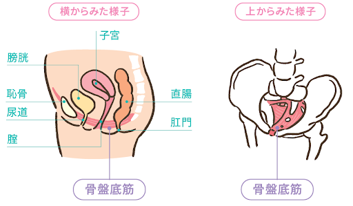 膣イキ手法」を実践した結果：膣でイカせる方法を公開します。