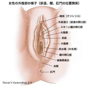 性感～「女性器のクリの剥き方はこう」ネットの情報を鵜呑みにするのは危険 | 琴莉オフィシャルブログ Powered by