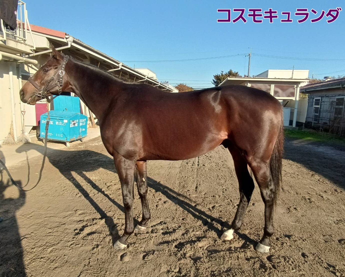 浜松ナイト情報誌アルファ - 【TIMES CLUB CIELO】