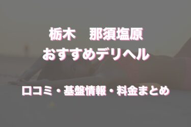 舐め方・攻め方・挿れ方・性感帯まで女体の全てを教わる現役風俗嬢の業種別 中出し筆下ろしテクニック  ～メンエス・ピンサロ・おっパブ・ソープのお姉さん大集合～ 40連発8時間