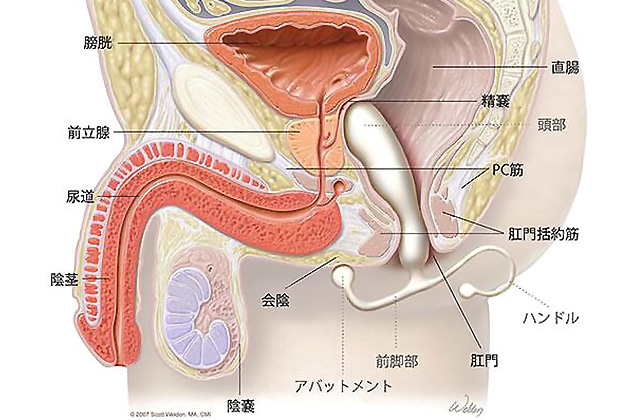 閲覧注意】痴女王様のM男アナル責めオムニバス！フィスト＆ペニバンでドライオーガズム地獄！