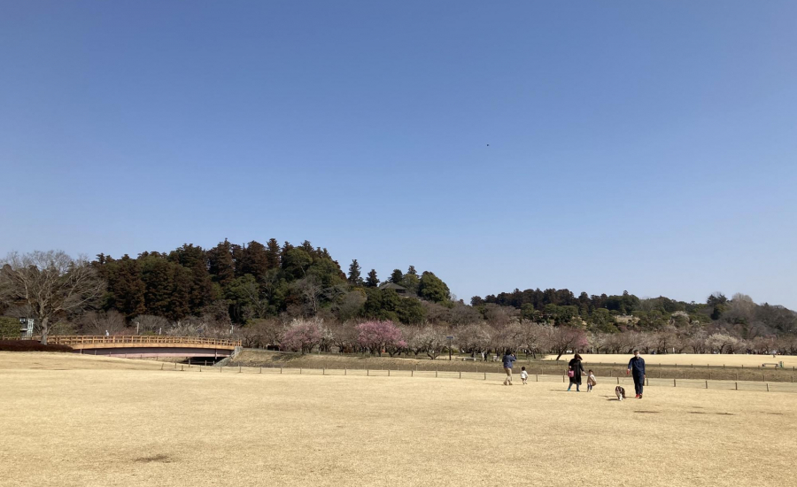 庭園を眺めて和のアフタヌーンティーを♪日本三名園・水戸の「偕楽園」で過ごす贅沢なひととき ｜ ことりっぷ